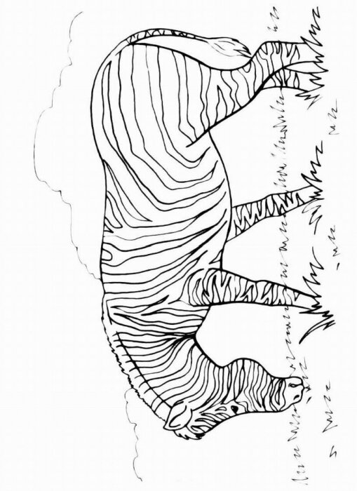 Распечатать раскраску Зебра для детей бесплатно